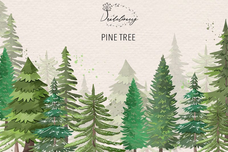 11个简易的手绘松树png剪贴画素材