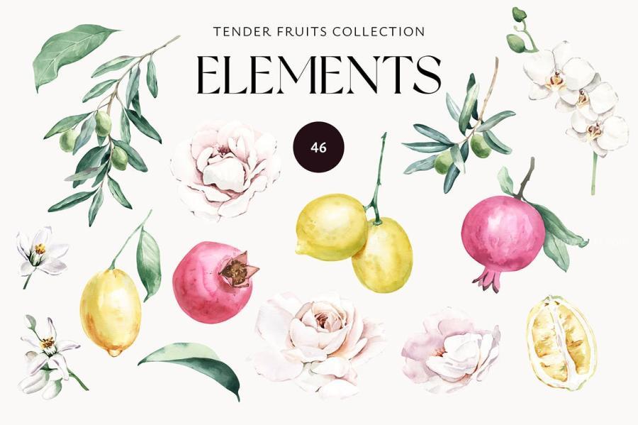 25xt-174881 Tender-Fruits-Watercolor-Elementsz3.jpg